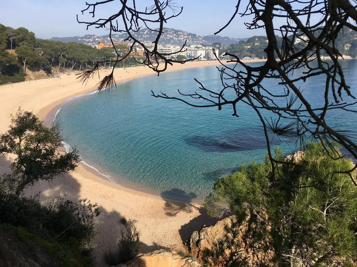 Vivalidays Kaylo - Fenals - Lloret De Mar 0*,