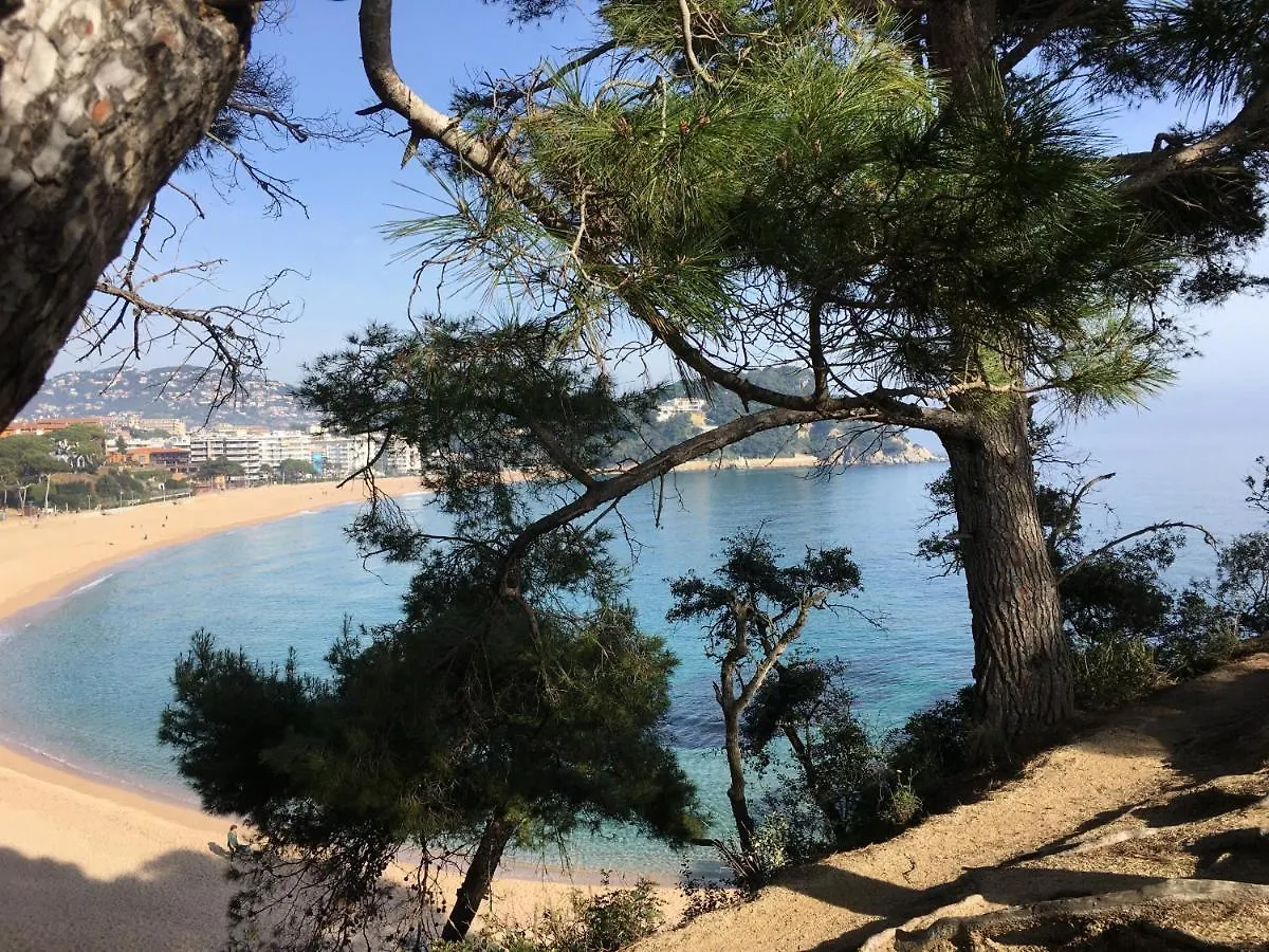 Apartment Vivalidays Kaylo - Fenals - Lloret De Mar